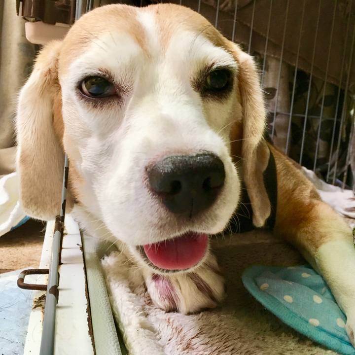 655e61e8 1f74 4bad a471 41bf93fabcb5 1567914121382