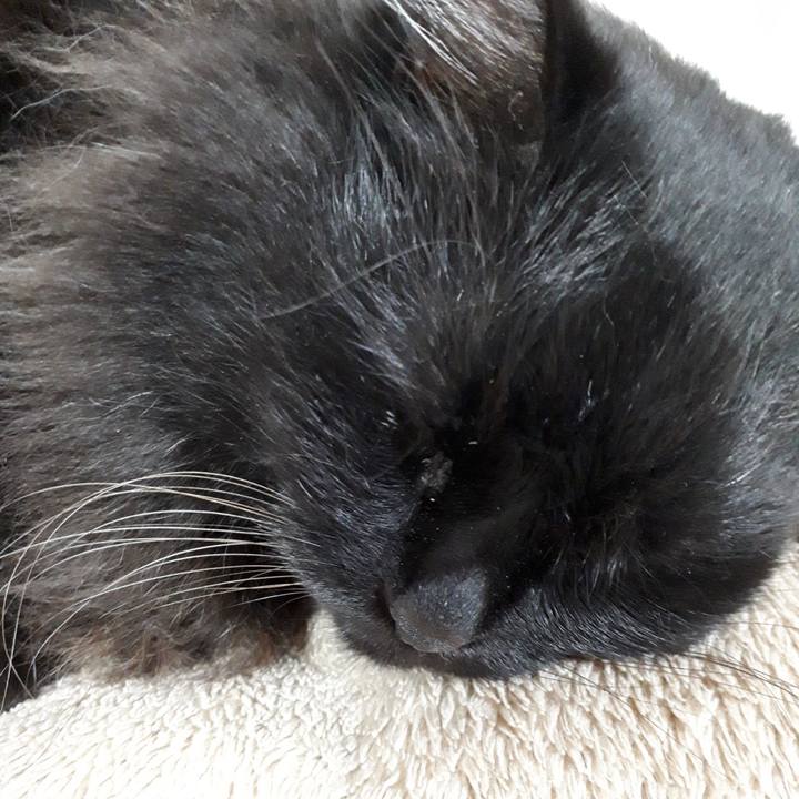 655e644a dd4b 445a b90c df3d350d719b 1520506178083