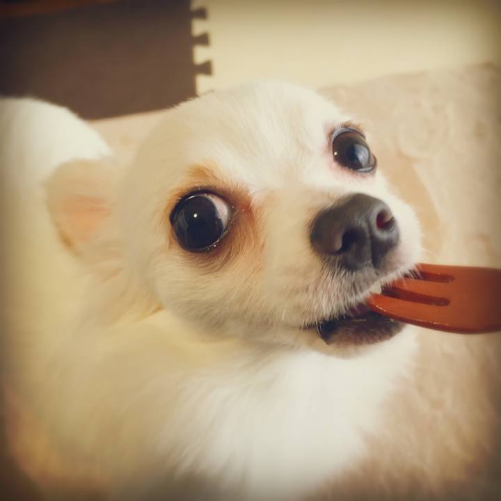 655e7228 d79a 4486 b804 8366a217f570 1516858198581