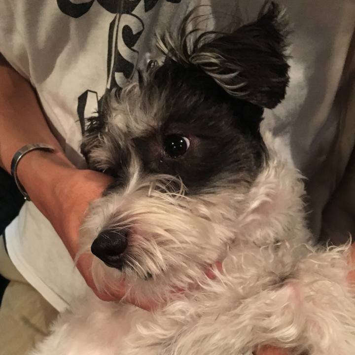 655e8928 18a5 4ae8 a4b7 48dfd25cd6d2 1679583457067