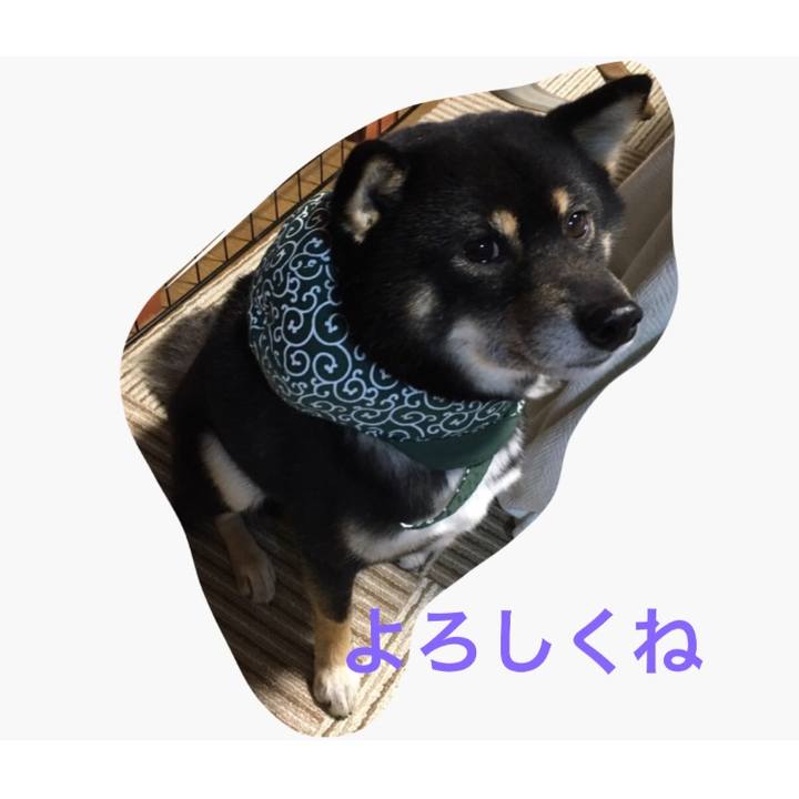 655efcea 66d4 4955 a80b 483d343b1d18 1511138242848