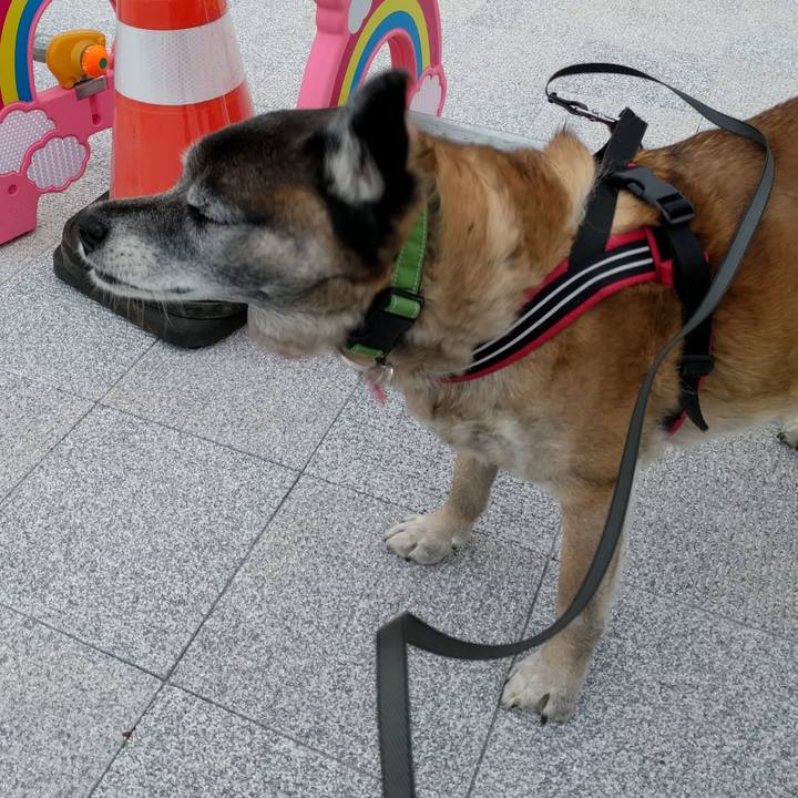 655f04bf 4b2b 4fc2 b7ea cc7d2e6f8e72 1519604227717