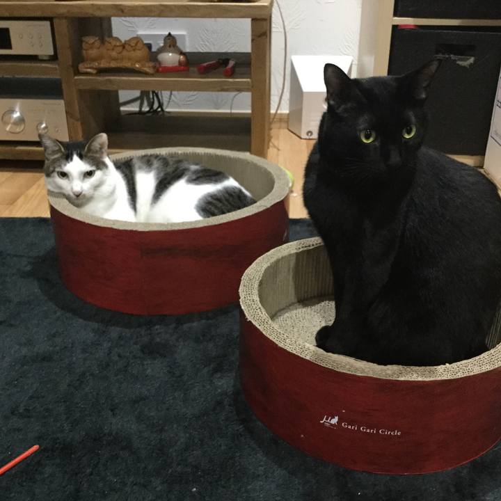 655f3962 590e 420f b76f 3c384909be23 1510562790897