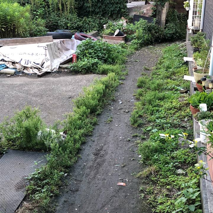 655f559f 9ccd 4168 9950 45c309debb76 1529942420604