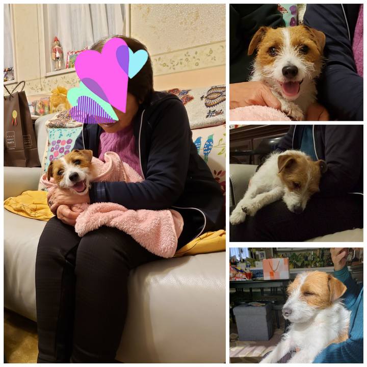 655f6f1c f994 4f54 8960 b22b0c7b819a 1548490331867