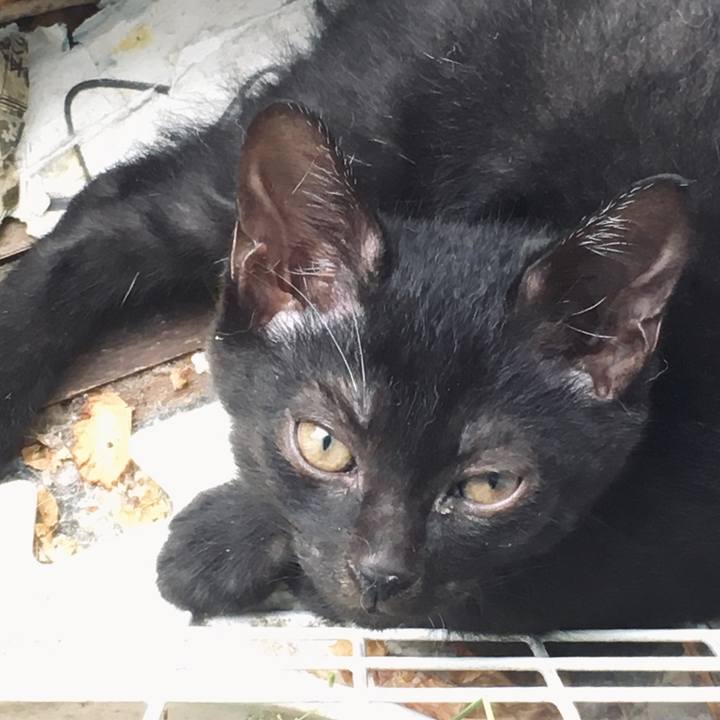 655f6f9c 934a 4c32 bfd8 87ac00cc0e5b 1625557615440