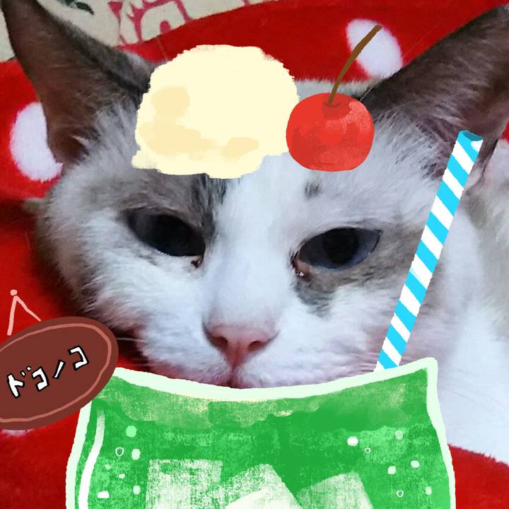 655fa6a1 fc90 42c1 b763 95d4e96ed973 1755329482812