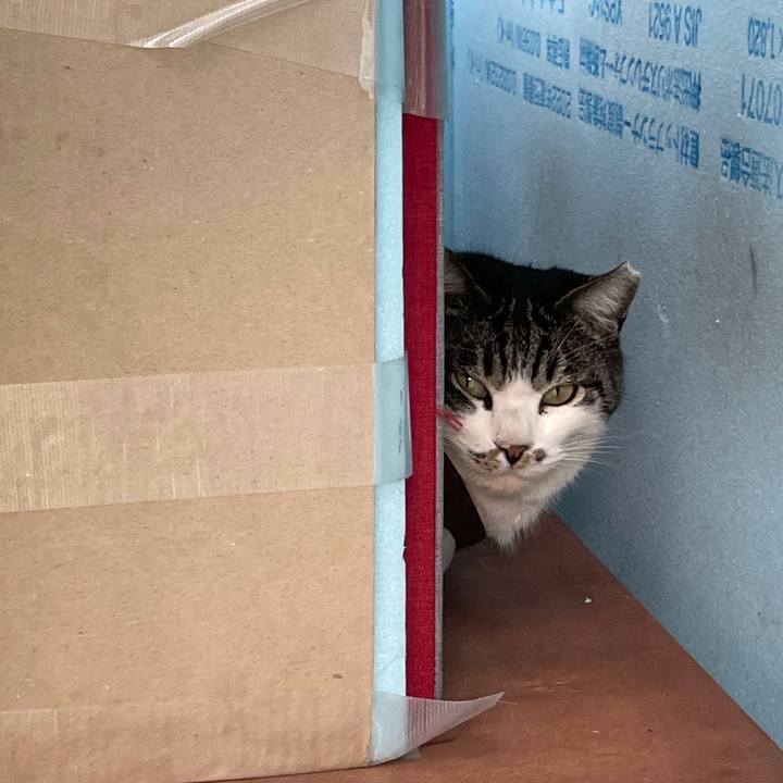 655fc3ce b507 46ab 9b34 0e5185ca3b76 1612243902446