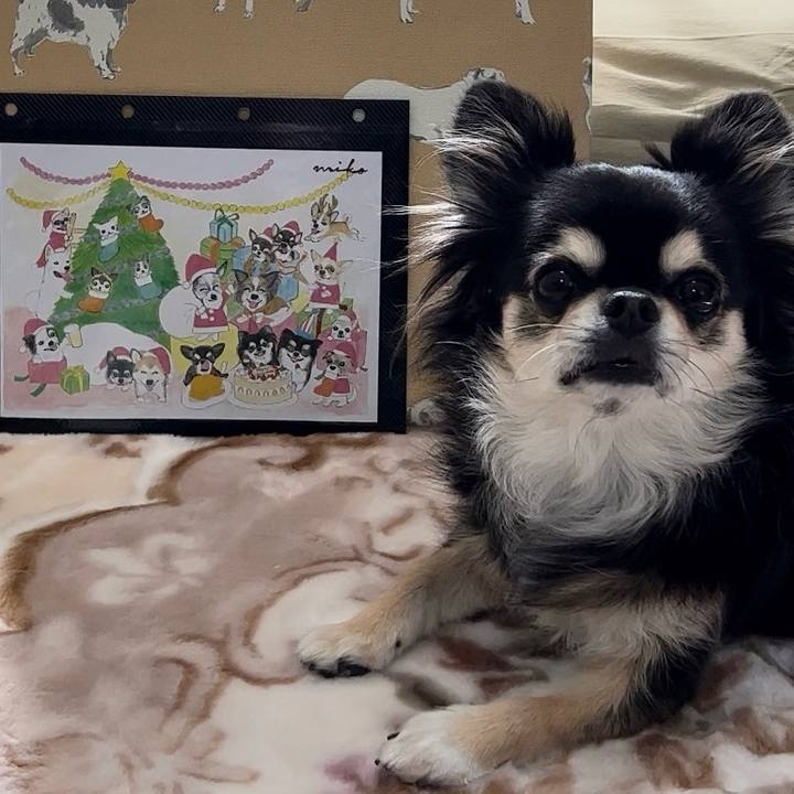 656013ec 9b8d 4d8c 9bef 8538d71ffbdc 1700807428003