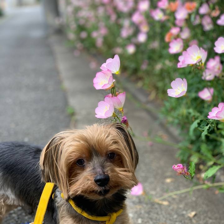 65602770 bda8 4f16 b781 fd543a69ef6a 1589185734884