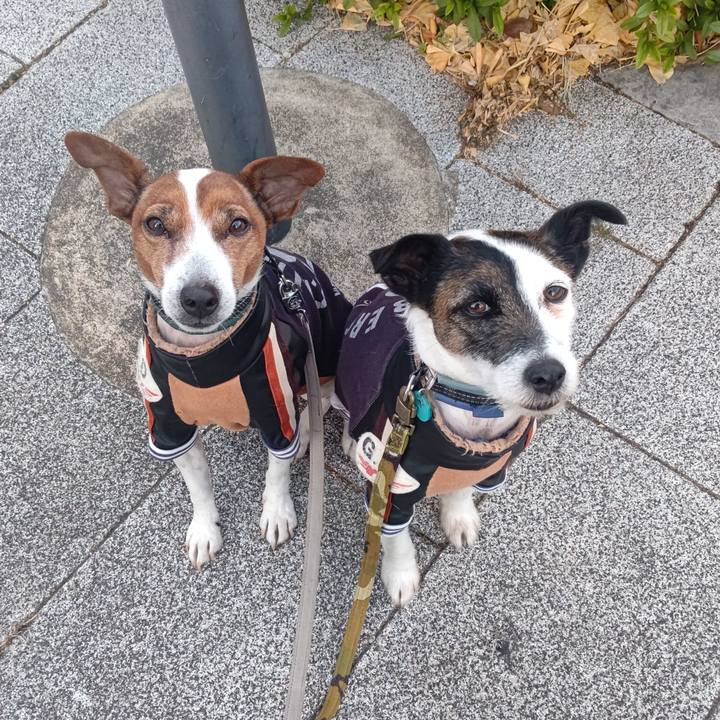 65604475 d347 4d98 9464 3b5d2c87798a 1705536923093