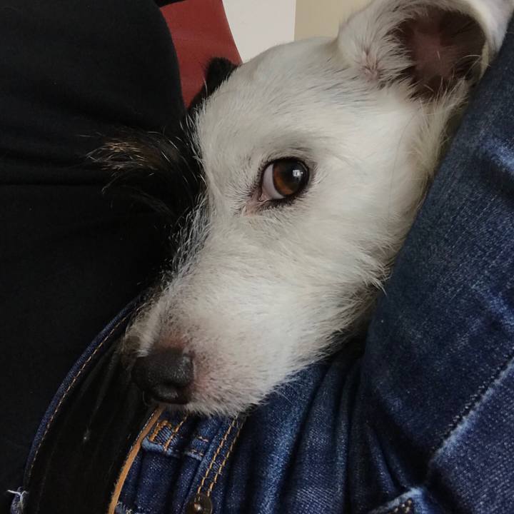 65606eea 0472 4aee a043 70155f3cca01 1538713964963