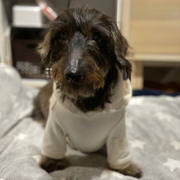 65607f78 ce74 46a7 acbb e2a2efc48351 1577371459896