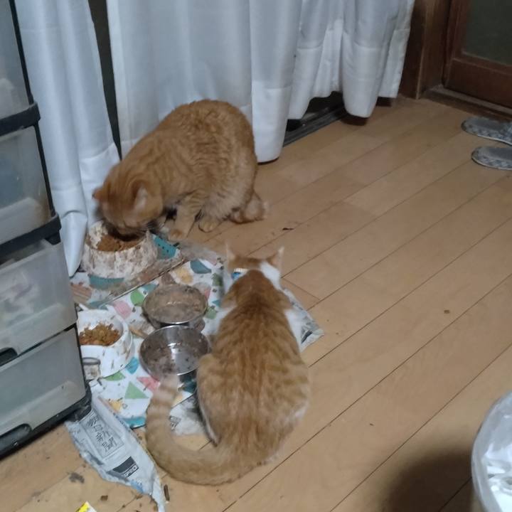 6560813c 03e6 418e b901 bc1612388b76 1733005367420