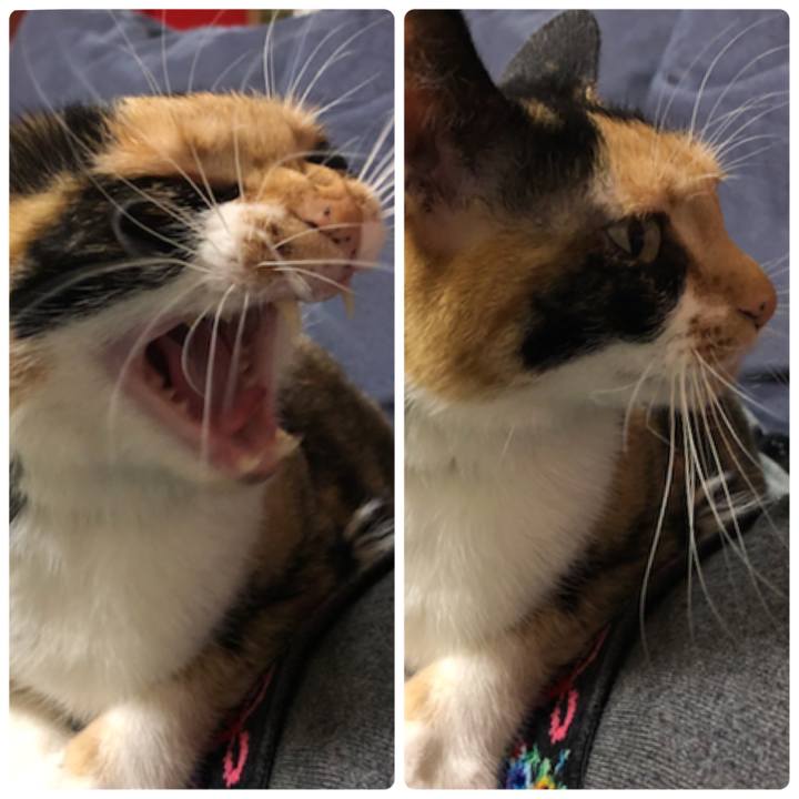 656082a9 6bb2 410b 8ffe 66f5094117a8 1525608007942