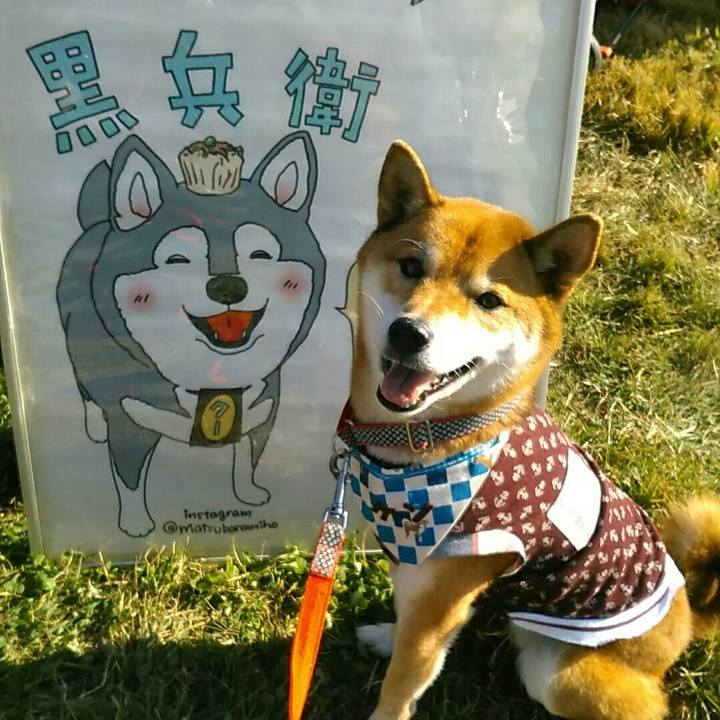 65608601 9af3 454a 9221 c3be6d7b005e 1573915478990