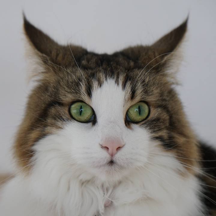 6560b409 ac17 408b 8e74 d68a085e6660 1550914013988