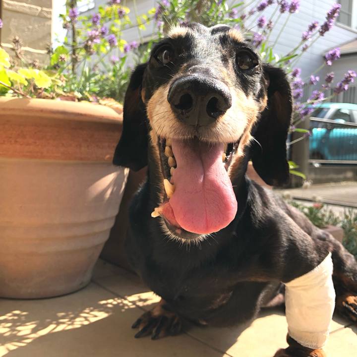 6560d18f 4578 4c96 a7a4 b753502b4aa5 1562919910554