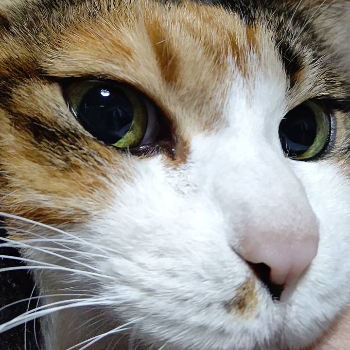 6560f013 b18e 4743 8a3c ee7a7becee01 1619170253951