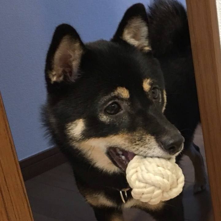 656137c0 98b1 4fe0 a2cc c9791ccdb8e3 1758619735375