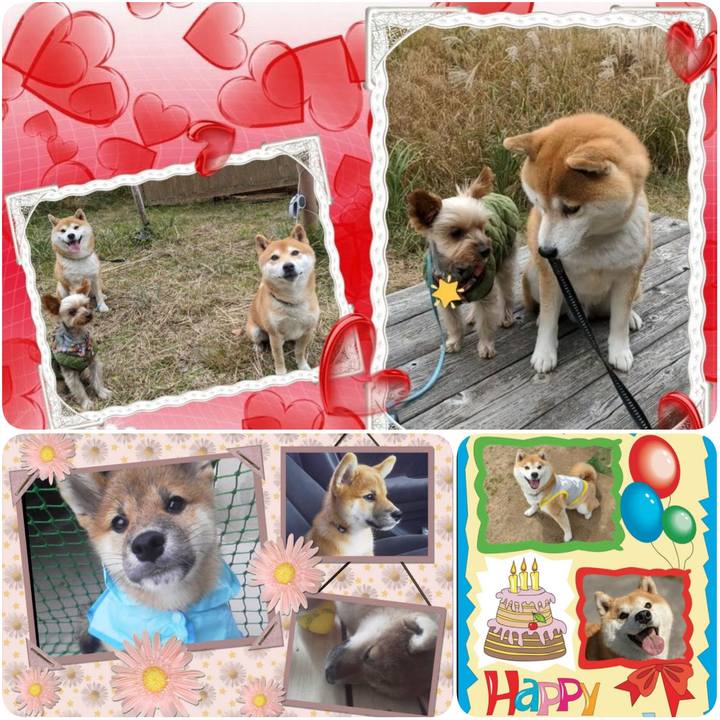 6561621c 1e0d 4af3 b861 63bf73573252 1623194839213