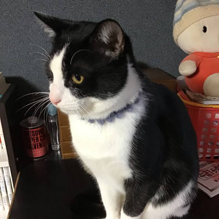 65617f58 920c 48b5 88fc 9654d6f379da 1642025425901