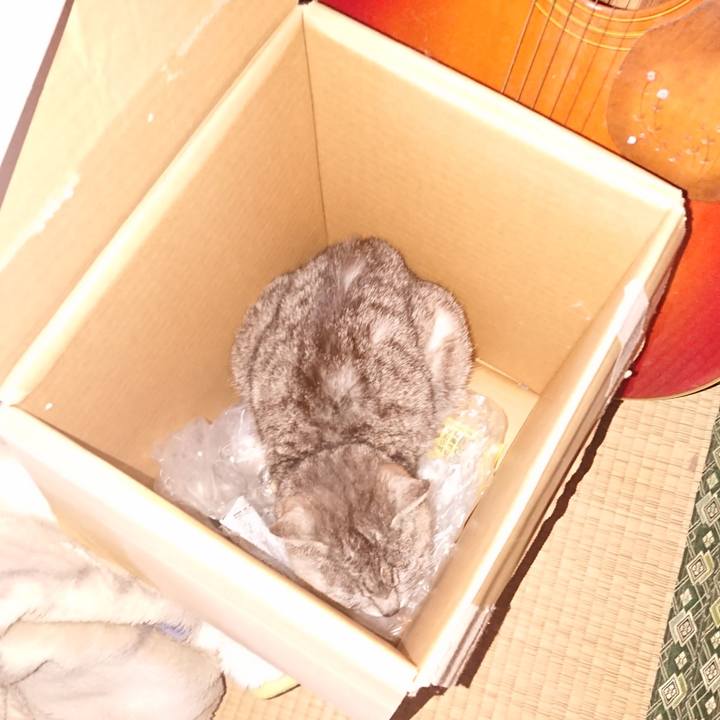 6561863f e270 43a2 9ba8 1fa102bde541 1590698622065