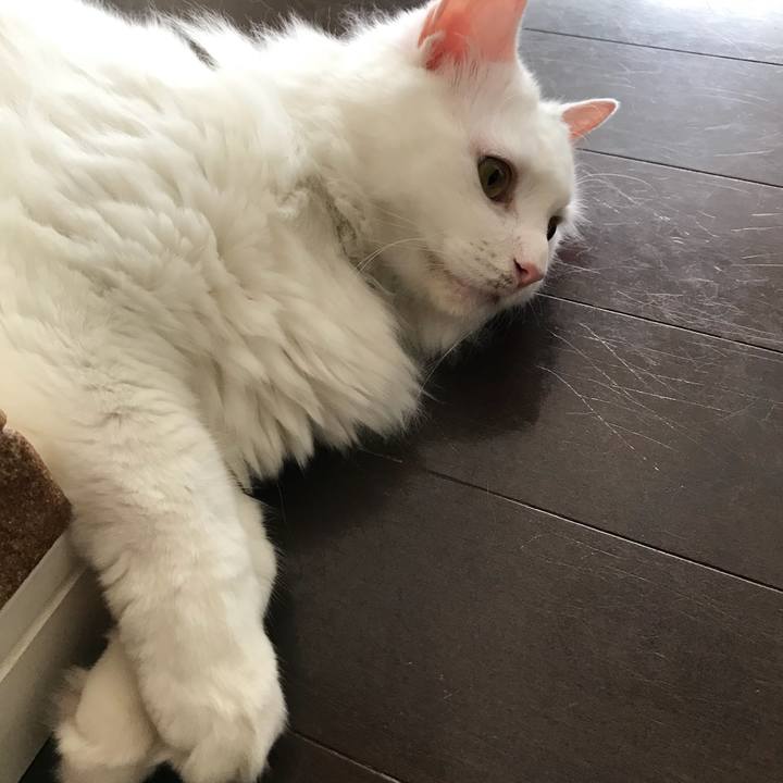 6561c2c2 56b9 4ab1 9dfb 46f64390a77b 1532489906805