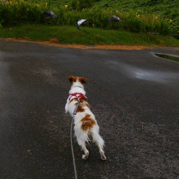 6561e771 e635 43f2 b3f6 beaac88caed6 1530783781220