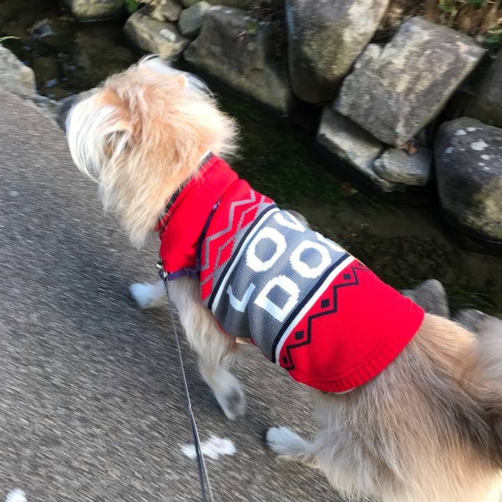 6562475e 253e 46ba b0d8 49d1840640d2 1547108433815