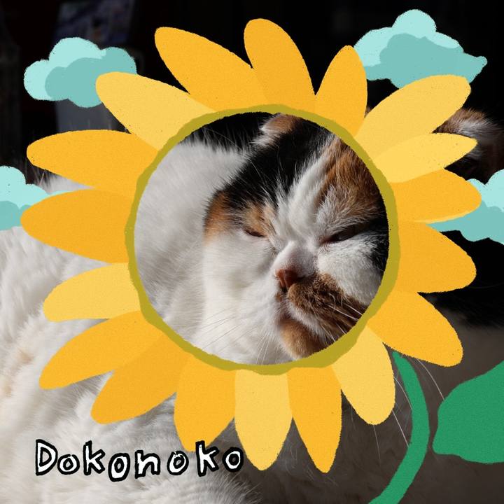 656291dd 3b78 43f2 af08 4b58fee50e40 1723244078049