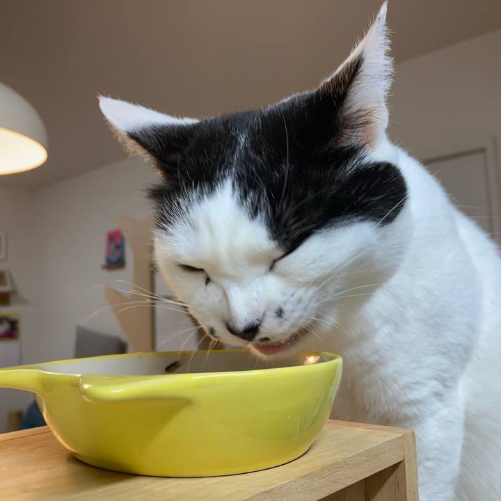 6562d3c2 33f0 4a52 a994 dcd4154ec1b3 1769633952846