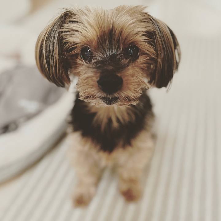 6562dbbb 5512 4008 80b4 86c3f26cc3ab 1685955209883