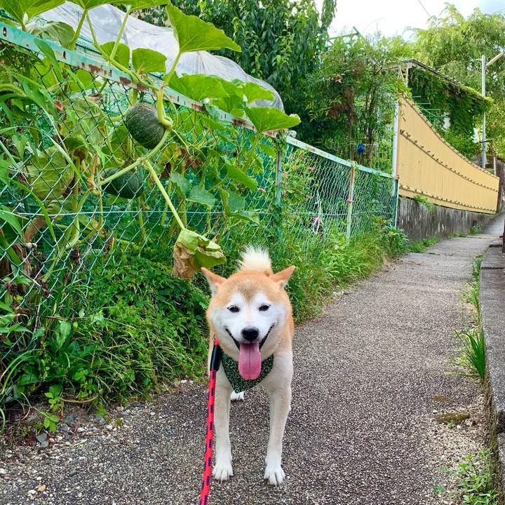 65631dcf e1bf 4729 be06 dca1d0d2d136 1691579258242