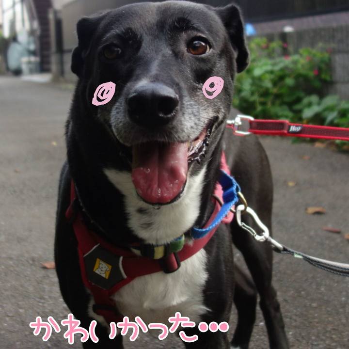 65631f53 5bf3 4700 85b2 a079bfb48051 1694045143138