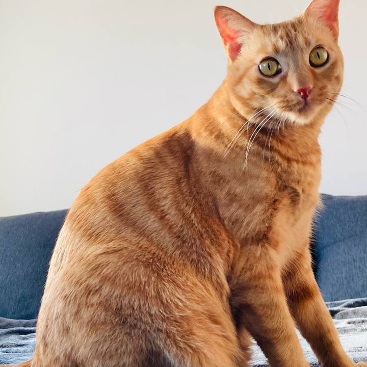 65632041 a91d 4da2 ac42 a34806347434 1613806266051