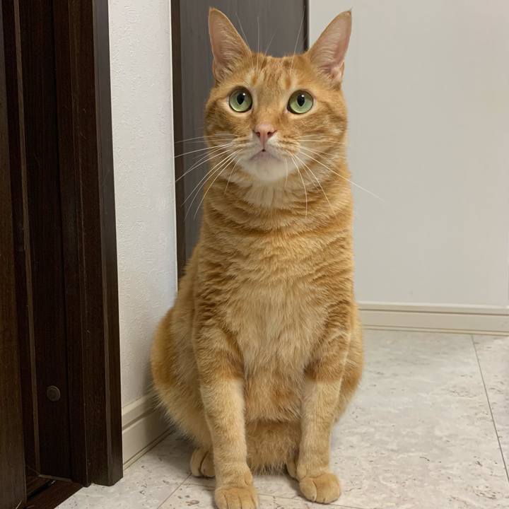 65632d48 06d6 49f0 be60 e10ced41c943 1626821320966