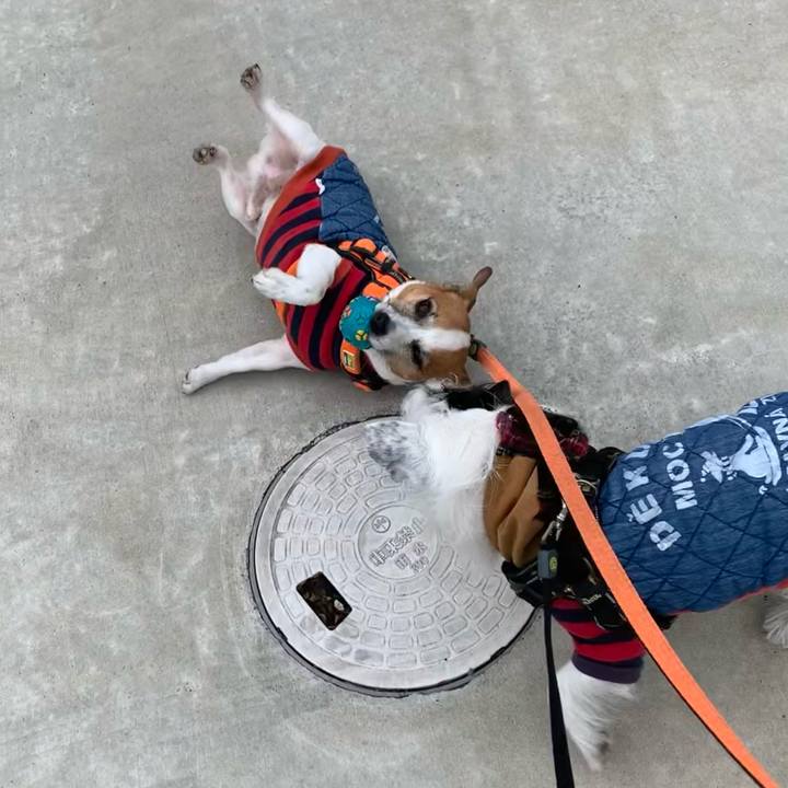 6563392c 4b52 4abd 96ec c47d135d03b0 1607476861737