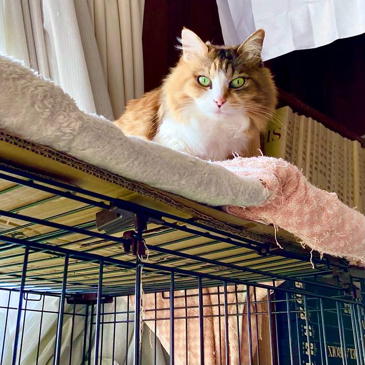 656343d1 06bb 4e2c 9406 e6ba75cb2f46 1681697691085