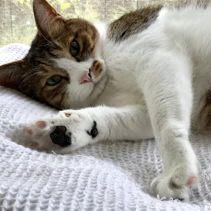 6563a3b4 d4b9 4533 ad5a 68f0fe151397 1566714060855