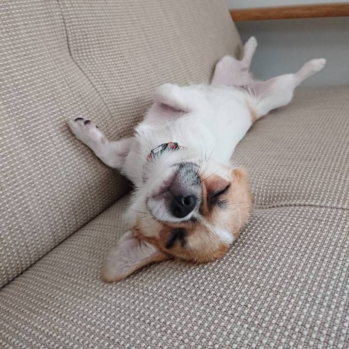 6563c302 b5ea 46b6 a755 8e29ab5b3c97 1531739019953