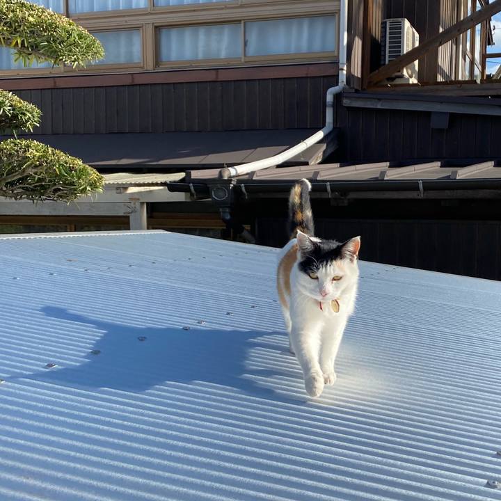 6563d88d 9115 465c 8380 fc4db480870b 1640158651866