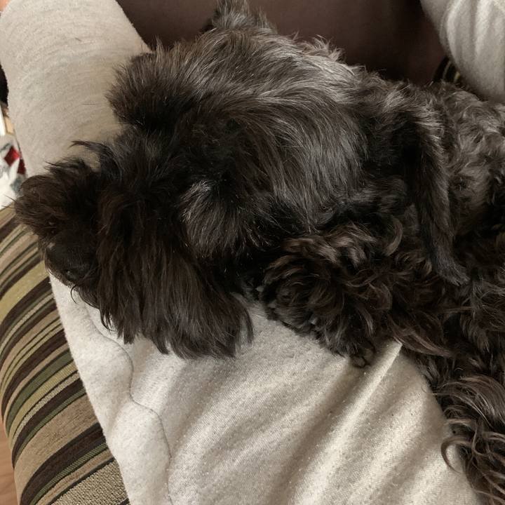 6563dc72 069c 4605 bb7a 5e78179d0e35 1589586345307