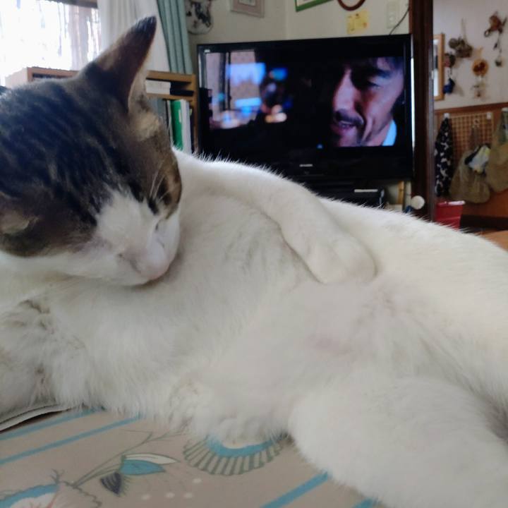 6563f052 b49f 40b6 9f6c c0f005477b54 1694918118907