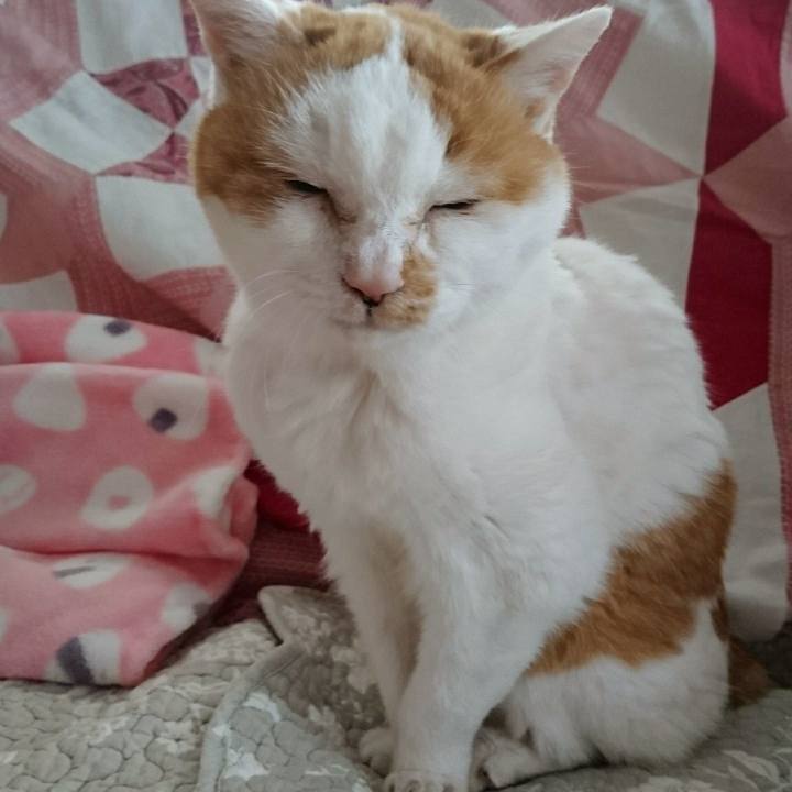 656404fe 7f7b 44c9 b36f c5c537d86e4e 1556666564899