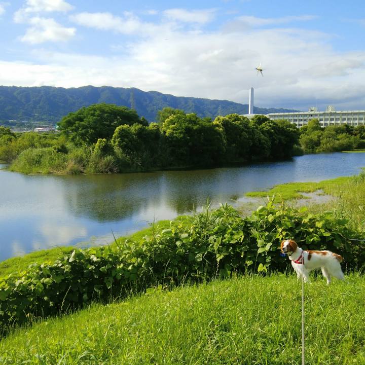 656445d5 40c6 49c6 86ee 88794d1ac7d8 1528848111492