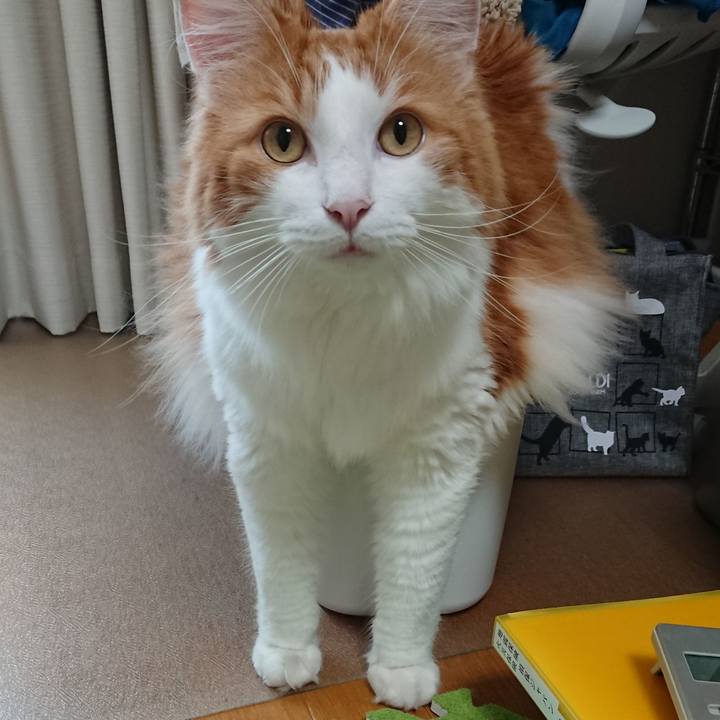 65645c3f fbcf 480c 97ee a80613420c6a 1568508054562