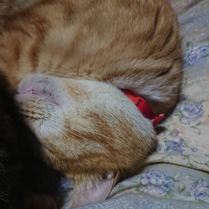 6564946a ff65 409d a7a2 d1fa7f721202 1579613532103