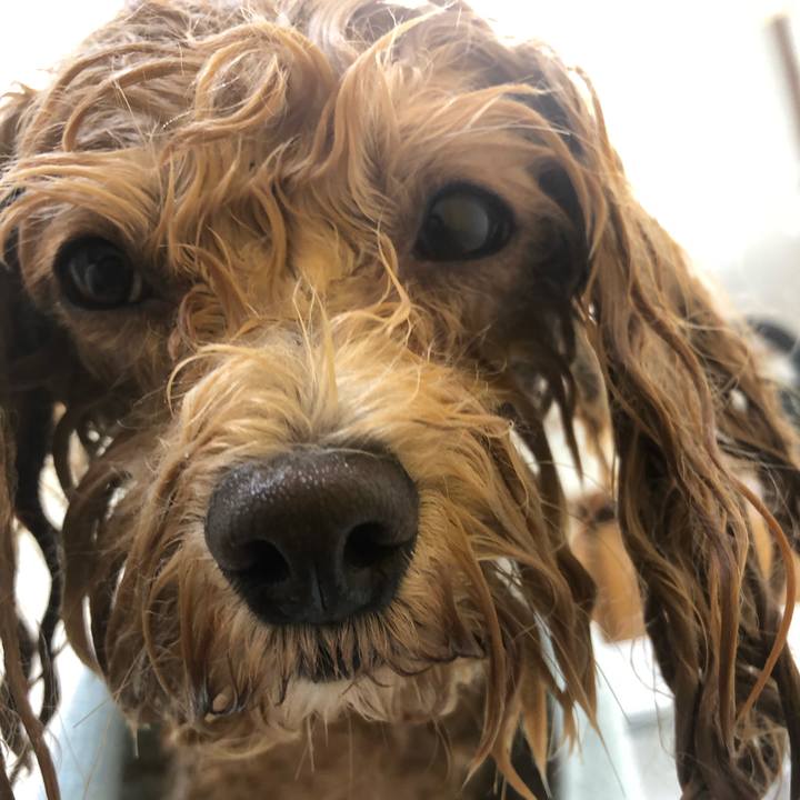 6564ac57 c2cc 4f78 b292 f0626790e9de 1624812314548