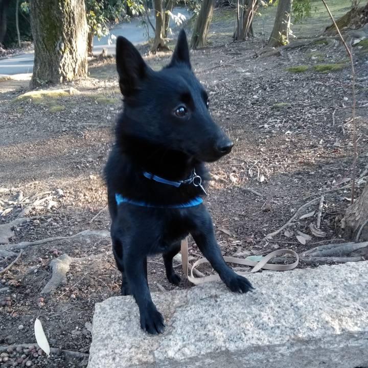 6564d189 b788 4df5 abc4 b0ba55959590 1549669402636